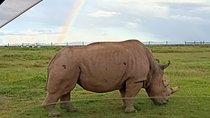 9 Days Rhino Safari