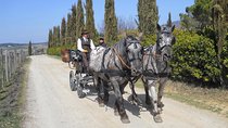 Carriage ride and Lunch in a typical restaurant in the heart of Chianti