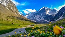 12 - Days Private Tour Foothills of Himalayas