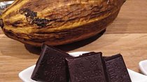 Chocolate tasting room & aromatic cocoa factory tour near Barcelona