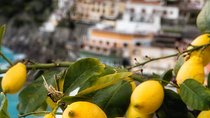 Local product and food tour in Sorrento