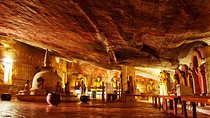 Sigiriya and Dambulla All Inclusive Tour From Colombo or Negombo