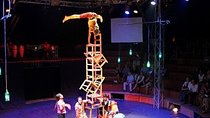 Phare: The Cambodian Circus Show with Pick up & Drop off