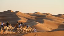 Wahiba Sands Safari with Wadi swimming and Camelride
