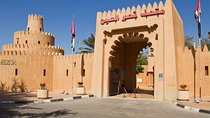 Al Ain Oasis Tour