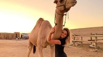 Camel ride at sunset in Agafay desert