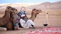 Camel ride in Agafay desert