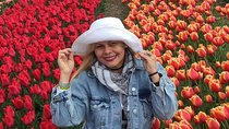 Keukenhof Private Tour From Amsterdam with Photoshoot