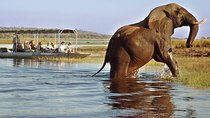 Full Day Chobe Trip - Botswana