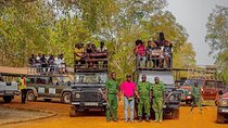 Accra: Tamale & Savannah Tour with Mole National Park