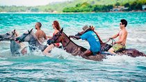 Private Beach Horseback Riding from Ocho Rios