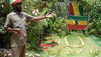 2.5-Hours Nine Miles & Bob Marley's Mausoleum Private Tour