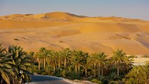 Private Liwa Full Day Desert Safari for Couples