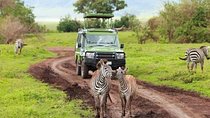 2 Days Selous Game Reserve Safari from Zanzibar or Dar es salaam