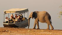 Chobe Full day Safari: Game Drive & Boat Safari with Lunch
