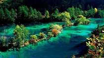 4-Day Private Tour:Jiuzhaigou and Huanglong National Park by Car from Chengdu