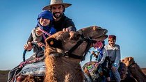 Camel excursion on the road to Ourika from Marrakech
