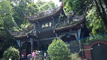 Dujiangyan Panda Base and Mt.Qingcheng one day private tour