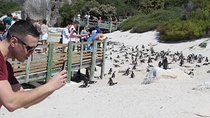Cape Of Good Hope Bo-Kaap Penguins Full Day tour From Cape Town