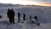 Mount Kilimanjaro Trek 7-Days: Lemosho Route