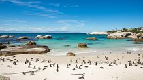 The Road Trip (Cape Point & Penguins) - Private Tour