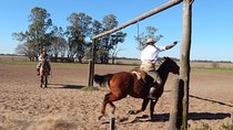 Excursion to typical estancia in the Argentinian Pampas with lunch and gauchos