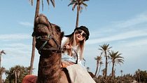 Marrakech Palm Grove Camel Riding Activity