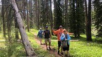 Private Hidden Gems of Yellowstone! Lunch w/ family friendly hikes included!