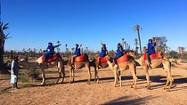 Half-Day Marrakech Palmeraie Adventure with Camel Ride