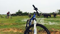 Half Day Countryside Cycling Tour, Siem Reap Private Tours