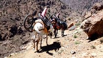 Challenge single track Day trip from Marrakech & Berber Villages