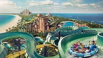 Dubai Wild Wadi Waterpark Ticket with Transfer