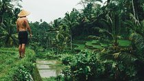  Best Ubud Tours -All inclusive with private driver