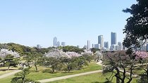 Cherry Blossom highlights, Hamarikyu garden, Asakusa, Meiji shrine