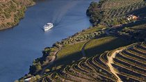 Douro Valley Cruise Porto to Pinhão: Breakfast, Lunch and Tasting