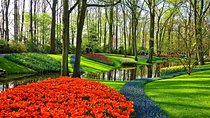 Keukenhof & Zaanse Schans: Private Tour From Amsterdam