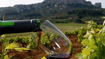 Provence Private Full Day Wine Tour with Wine Tasting