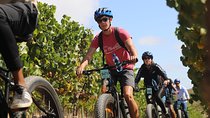 From Cape Town: Full Day Electric Bike Winelands Tour & Lunch 