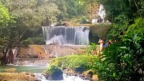 YS Falls Private Tour 