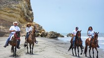 Horseback Riding on the beach with Colombian Paso Show, Cartagena