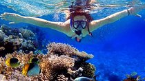 Full Day in a Island Snorkeling Private Tour From Hurghada