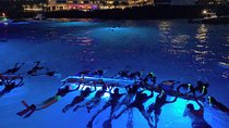 Manta Ray Night Snorkel