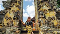 Half-Day Tour to Ubud Highlights