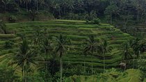 Favorite Sites of Ubud Daytrip