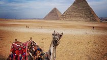 Full-Day Giza Pyramids Sphinx Sakkara Private Tour with Pickup