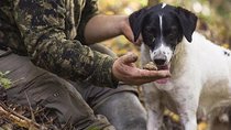 Truffle Hunting in the Tuscany Hills of Florence