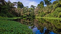 10 Days Costa Rica Highlights from San Jose