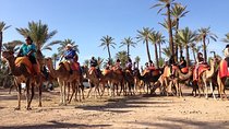 Camel Ride in Marrakech
