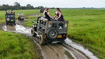 Minneriya/Kaudulla or Hurulu Eco Park Jeep Safari including Entrance Fee