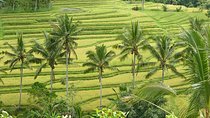 Private Full-Day Tour of West Bali with Hotel Pick Up